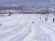 Pensiunea Teleschi Feleacu, Cluj Napoca