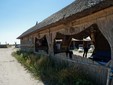 Vama Veche - Romania's Black Sea Coast